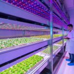 Agriculture 4.0