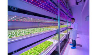 Agriculture 4.0