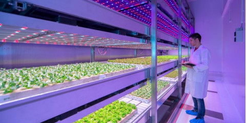 Agriculture 4.0