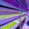 Agriculture 4.0