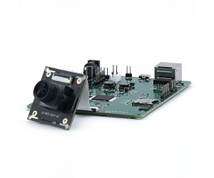 SAV531 AI SoC Project Development - ECS531P0AI