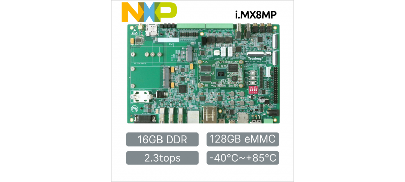 NXP i.MX8M Plus Industrial Grade Embedded Computer & Customized Carrier Board